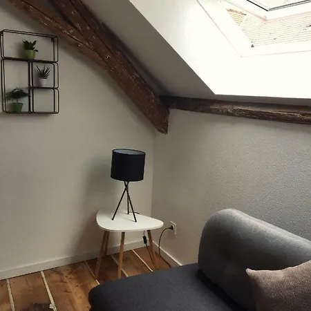L'ours Appartement *