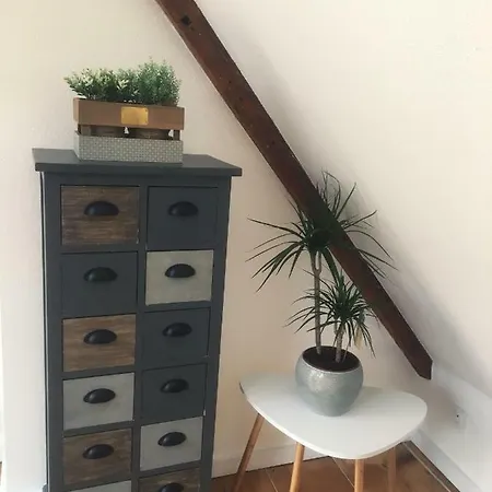 Appartement L'ours Colmar