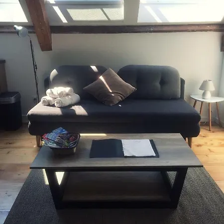 Appartement L'ours Colmar